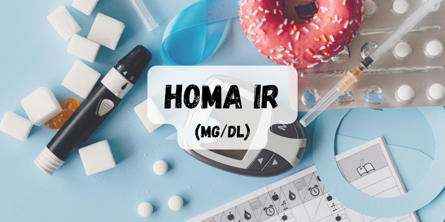 kalkulator homa ir mg/dl